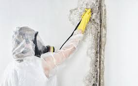 Best HVAC Mold Inspection and Cleaning  in North Lakeport, CA